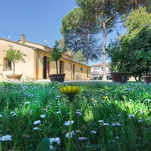 Bed & Breakfast Pisa Holidays, Arena Metato